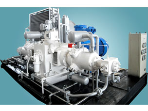 Type D CNG Compressors